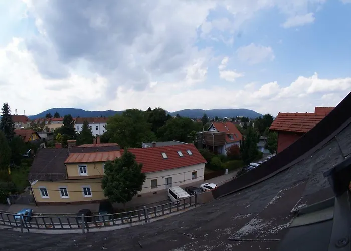 Andreas' Dachwohnung Mit Terrasse 格拉茨