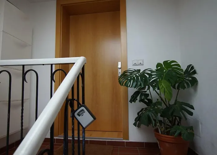 Andreas' Dachwohnung Mit Terrasse